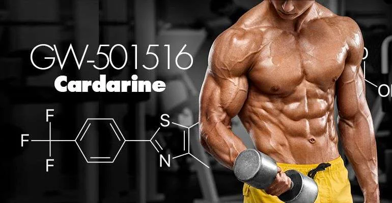 Cardarine vs. Outros Moduladores Seletivos: Desvendando as Diferenças para um Desempenho Superior